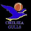 https://img.833zhibooo.com.cn/img/basketball/team/0d36b73786230e17d7d718ab10adab87.png