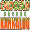 https://img.833zhibooo.com.cn/img/basketball/team/8f4f7a4d7dffd7785640d9ce2d429aa8.png