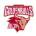 https://img.833zhibooo.com.cn/img/basketball/team/d1d77f07287fe840a7e77459e5bd1bfc.png