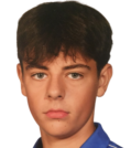 https://img.833zhibooo.com.cn/img/football/player/085143acca82acaa9854fe2485376d5e.png