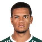 https://img.833zhibooo.com.cn/img/football/player/1495e63fc811824f02fd7fba9d254b1f.png