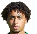 https://img.833zhibooo.com.cn/img/football/player/347a6d58ae7ec0425a4d42bc9215c411.png