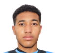 https://img.833zhibooo.com.cn/img/football/player/d7bc71cad19fb7019c0a27186d554ad5.png