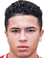 https://img.833zhibooo.com.cn/img/football/player/d95054a0e727f334463fc369b55f13a2.png