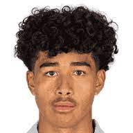 https://img.833zhibooo.com.cn/img/football/player/f07b040db42157ac0f5955af9744f895.png
