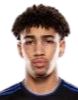 https://img.833zhibooo.com.cn/img/football/player/fb7fd3390bdc25307ce54843fe6472dd.png