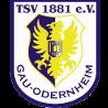 https://img.833zhibooo.com.cn/img/football/team/0425718c842cc1330a6507bdde3c1da4.png