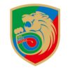 https://img.833zhibooo.com.cn/img/football/team/2eddedc5ec7a868fc63ef7491633c284.png