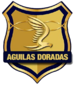 https://img.833zhibooo.com.cn/img/football/team/2fc9caac0344e02b7d678ab9effdcc7d.png